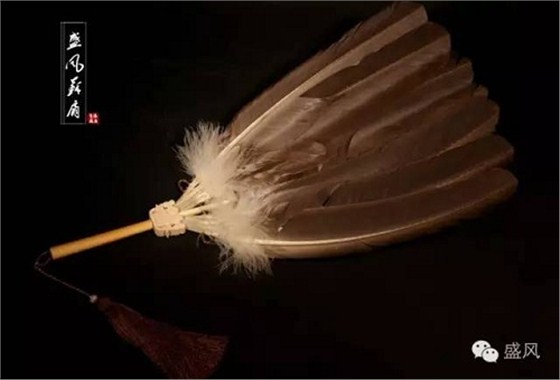 羽扇圖片