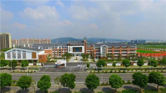 橫涇實驗小學鳥瞰圖