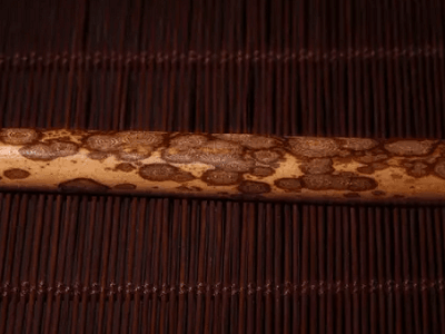 梅鹿竹扇子詳解