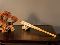 折扇藝術人文雅趣