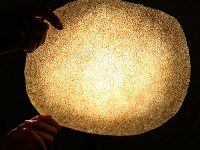 什么是烏骨泥金扇？