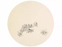 菊花圖案團扇畫法步驟