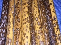 如何品評斑竹扇子花紋好壞？