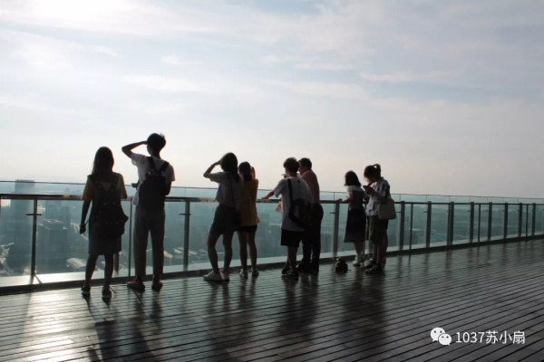 蘇扇文化產業的調研活動