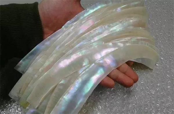 “點螺”原料圖