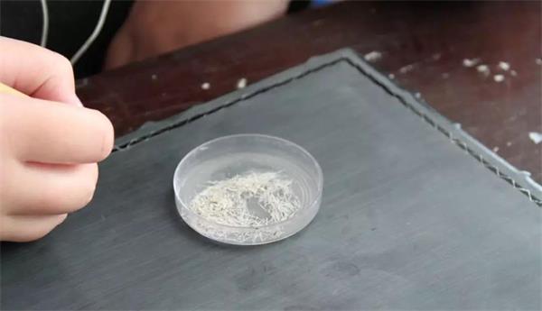 用針點與漆坯之上